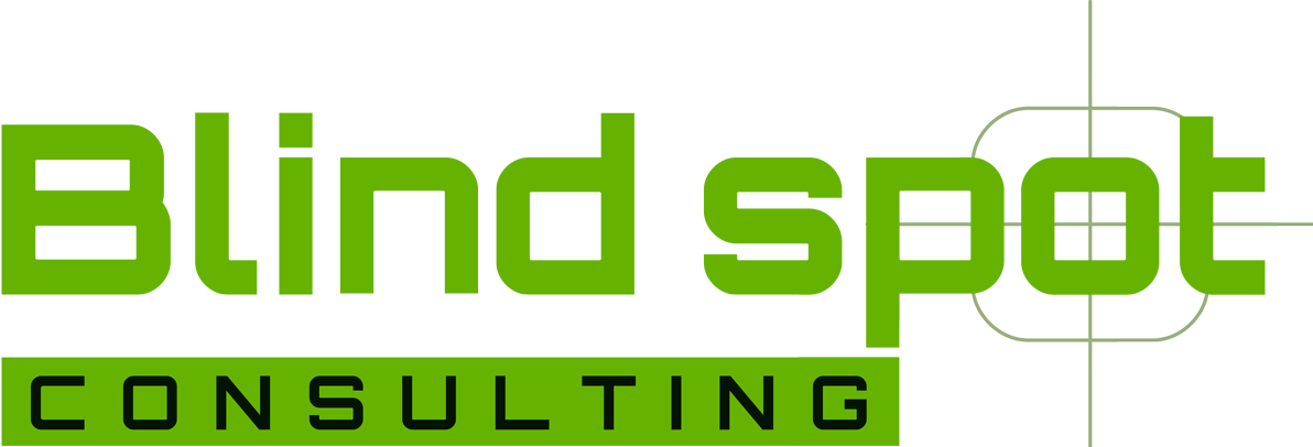 BlindSpot Logo